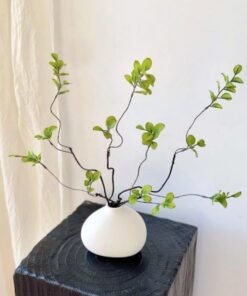 Bộ sưu tập bình gốm sứ trắng tinh khôi và nghệ thuật