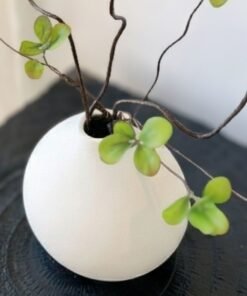 Bộ sưu tập bình gốm sứ trắng tinh khôi và nghệ thuật - ảnh 2