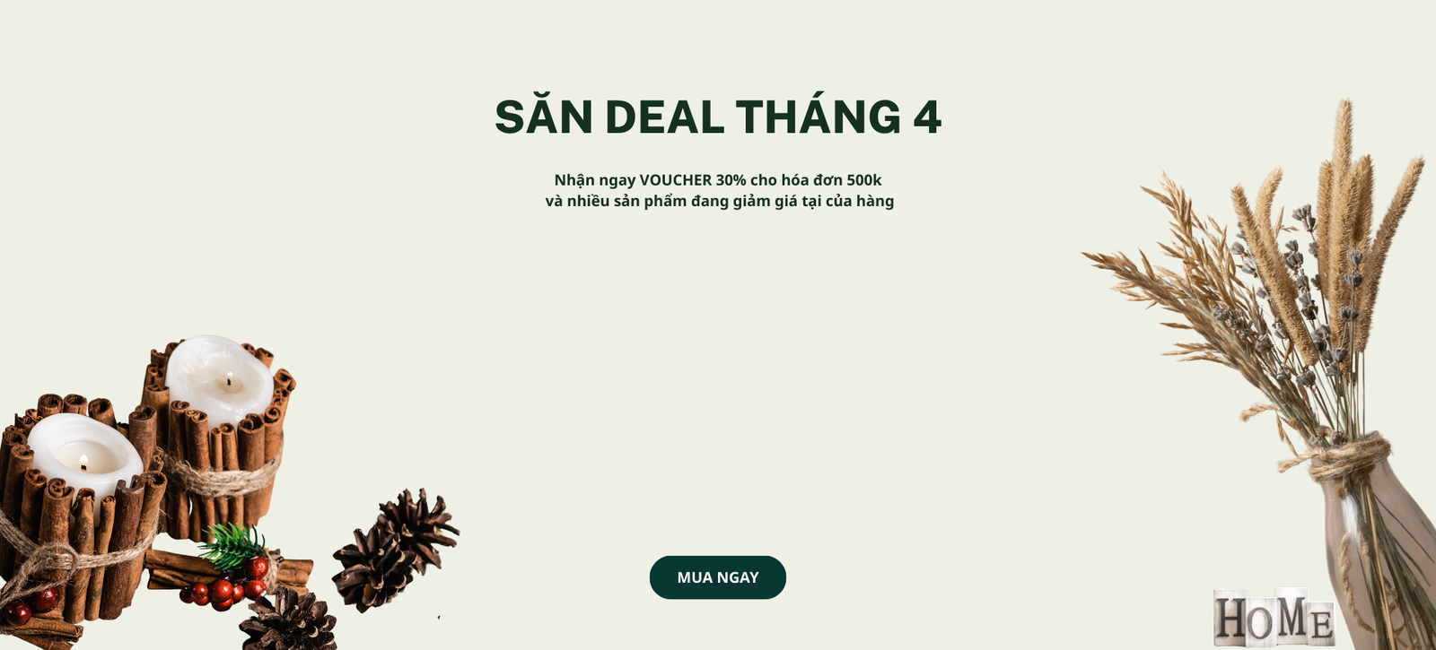Săn Deal Cỏ Homedecor