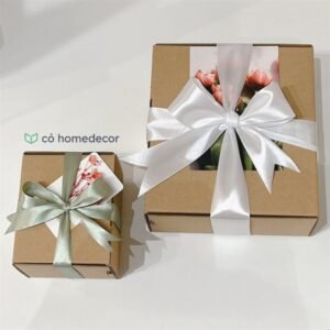 Hộp Carton (Kraft) - Size